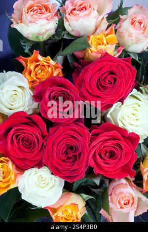 Rosenstrauss unterschiedliche viele farbige hautnah Stockfoto