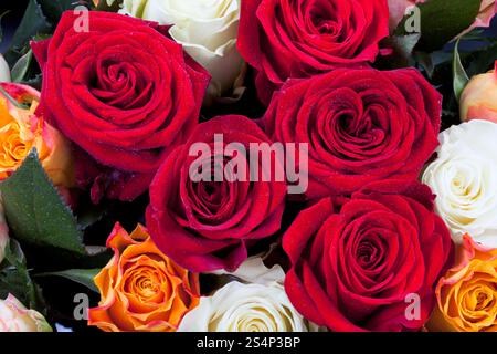 Rosenstrauss unterschiedliche viele farbige hautnah Stockfoto