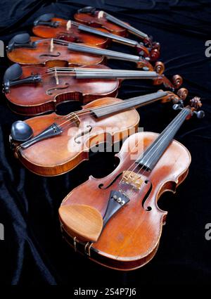 Familie von verschiedenen großen Geigen auf schwarzem Samt hautnah Stockfoto