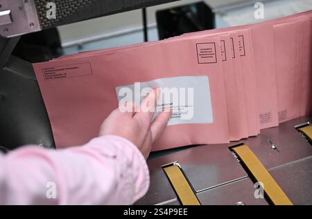 Mainz Kastel, Deutschland. Januar 2025. Bei einem Testlauf im Postzentrum der Deutschen Post werden Stimmpuppen in ein Sortiersystem gestellt. Die Deutsche Post hat das automatische Sortieren und Versenden von Wahlumschlägen für die Bundestagswahl am 23. Februar in Hessen erfolgreich getestet. Sie will sicherstellen, dass die rosafarbenen Briefumschläge maschinenkompatibel sind. Vermerk: Arne Dedert/dpa/Alamy Live News Stockfoto