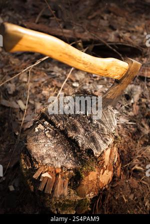 Foto von Eisenaxt, die im Holzstamm steckt Stockfoto