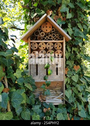 Ein handgefertigtes Bienenhotel aus Holz und Bambus ist auf einem Baum montiert, umgeben von lebhaftem grünem Efeu. Dieser Lebensraum unterstützt lokale Bestäuber Stockfoto