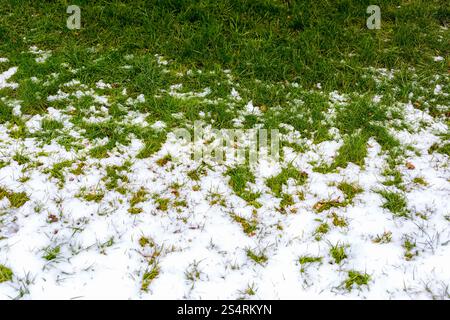 Konzeptionelle Foto des Frühlings nach Winter. Rasen wächst durch Schnee Stockfoto