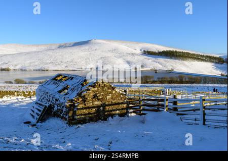 Mount Maw und Baddinsgill Reservoir bei West Linton in den südlichen Pentland Hills Schottlands. Stockfoto