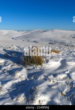 Blick auf Wether Law, West Kip, Green Law, The Mount and Grain Heads aus Muckle Knock in den Pentland Hills in Schottland. Stockfoto