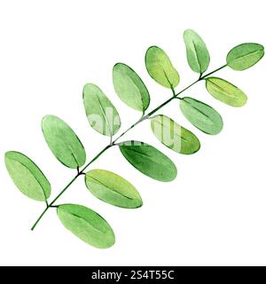 Grünes Blatt Aquarell handgezeichnete Illustration isoliert auf weißem Hintergrund. Botanisch bemaltes Blatt Clipart. Perfekt für Hochzeitseinladungen und Begrüßungen Stockfoto