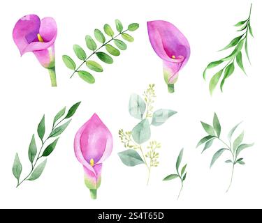 Aquarell Hand gezeichnete Calla-Lilie und Eukalyptusblätter isoliert auf weißem Hintergrund. Botanisches Clipart-Set. Blumenbündel mit Grün für Weddin Stockfoto