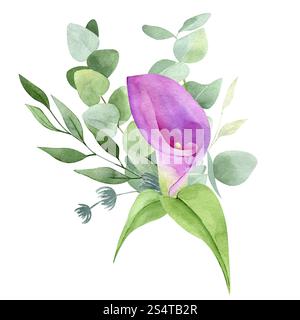 Calla-Blüten- und Eukalyptuskomposition isoliert auf weißem Hintergrund. Aquarellfarbe lila Blume und grüne Illustration für Grußkarten, Sammelalbum Stockfoto