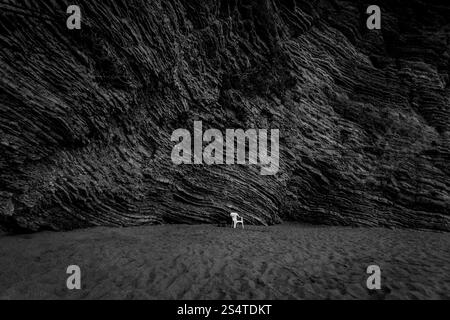 Schwarz / weiß Aufnahme des weißen Stuhl stehend auf einsamen Strand mit Steilküste Stockfoto