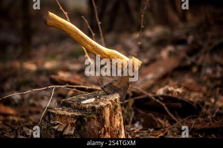 Outdoor-Foto von Axt im Baumstumpf Stockfoto