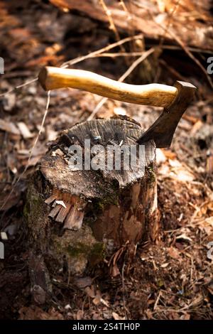 Eiserne Axt stecken in Log am Wald Stockfoto