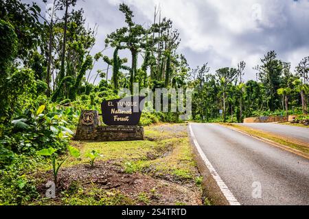 Rio Grande, Puerto Rico - 6. März 2018: Eintritt in den El Yunque National Forest. Stockfoto