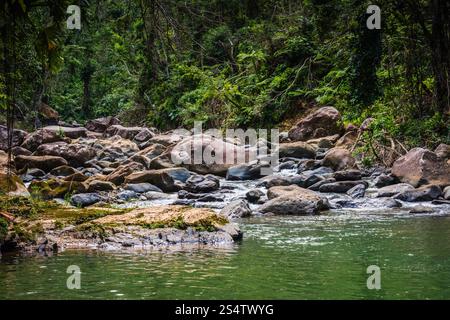 Rio Grande, Puerto Rico - 6. März 2018: Der Angelito Trail im El Yunque National Forest ist eine beliebte und leichte Wanderung endet mit einer erfrischenden natürlichen Schlucht Stockfoto
