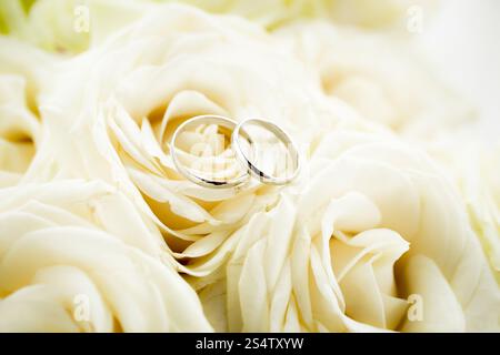 Makro-Foto von zwei goldene Hochzeit Ringe liegen auf weiße rose Stockfoto