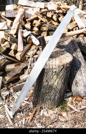 zwei Griffen Säge und Axt in Deck zum Hacken von Brennholz, Haufen von Holz auf rustikalen Innenhof Stockfoto