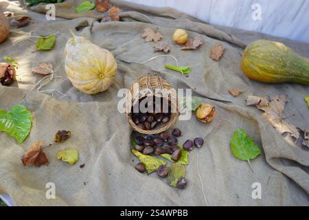 Ein handgefertigter kretischer Korb, der über Sacktuch gelegt ist und mit Blättern, Granatäpfeln und Kürbissen mit Kastanien verziert ist, die über das Tuch Rollen Stockfoto