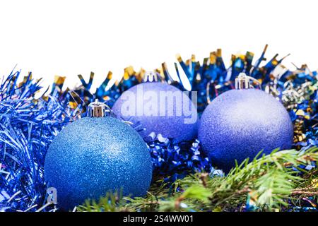 blaue und violette Weihnachtskugeln auf grüne Tanne Baum Zweig isoliert auf weißem Hintergrund Stockfoto
