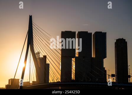 Sonnenaufgangssilhouette der Erasmus-Brücke in Rotterdam, Niederlande Stockfoto
