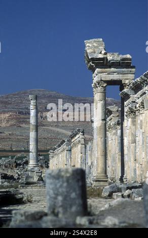 die Ruinen von Apameia nahe der Stadt von Hama in Syrien im Nahen Osten Stockfoto