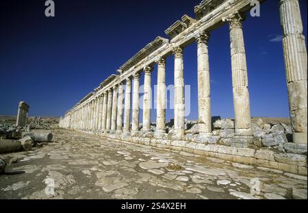 die Ruinen von Apameia nahe der Stadt von Hama in Syrien im Nahen Osten Stockfoto