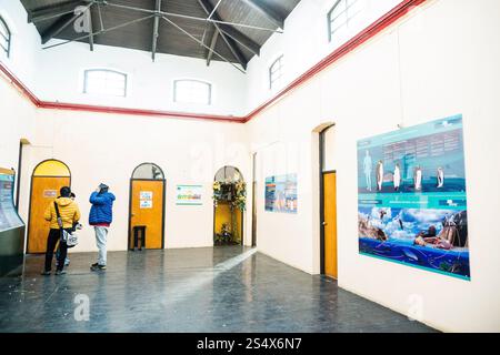 Leuchtturmmuseum, Touristenausflug zur Magellan-Pinguinkolonie, -Spheniscus magellanicus-, Magdalena-Insel, Magellan-Straße, Patagonien, Vertreter Stockfoto