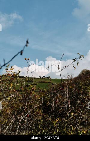 Hölzerne Berghütte mit Blick aus der Ferne. Ein dreieckiges Ferienhaus mit Panoramafenstern steht allein auf einem Berggipfel. Südwestserben Stockfoto