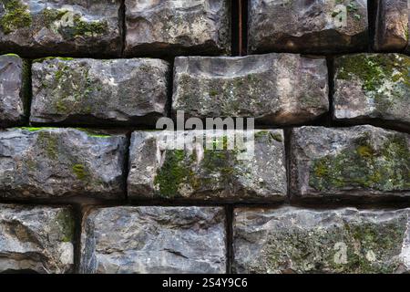 Reisen Sie nach Italien - schwarze Steinblöcke moosbedeckten in Wand des Palazzo Pitti in Florenz Zentrum Stockfoto
