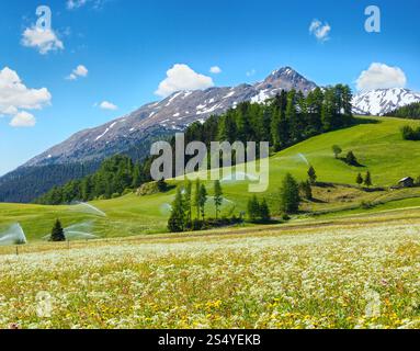 Bewässerungswasser sprudelt in den Sommeralpen (Italien). Blauer Himmel mit ein paar Cumulus-Wolken. Stockfoto