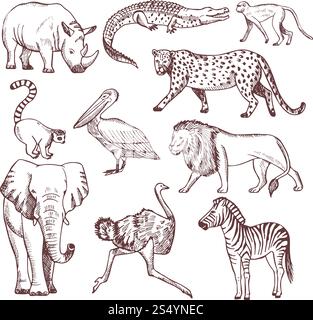 Handgezeichnete Illustrationen afrikanischer Tiere. Vektortier afrikanische Natur, skizzieren wildes Säugetier. Handgezeichnete Illustrationen afrikanischer Tiere Stock Vektor