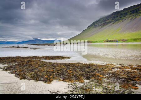 Rauðsdalur Strand in den südlichen Westfjorden, Island Stockfoto