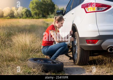 Schöne Frau, die auf dem Feld den Platten wechselte Stockfoto