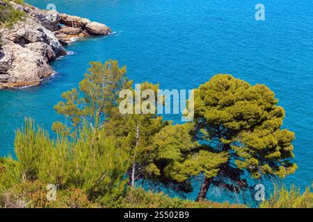 Sommer Architello (Arch) von San Felice auf der Halbinsel Gargano in Apulien, Italien Stockfoto