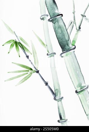 Ausbildung im Suibokuga Stil mit Aquarellfarben - Zuckerrohr-Stämme auf weißem Papier zeichnen Stockfoto