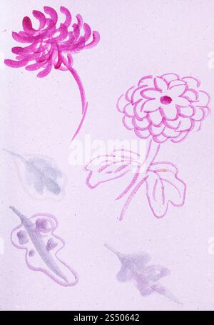 Ausbildung Zeichnung in suibokuga Stil mit Wasserfarben - Skizzen von chrysantheme Blumen auf rosa farbiges Papier Stockfoto