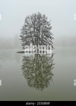 28.12.2024 Sachsen Anhalt Sachsen-Anhalt Dessau Wörlitz einzelstehender Baum im See Spieglung Spiegelung Insel Herbst Wörlitzer Park Nebel Nebellandschaft neblig nebelig *** 28 12 2024 Sachsen Anhalt Sachsen Anhalt Dessau Wörlitz Einzelbaum im See Reflexionsinsel Herbst Wörlitz Park Nebellandschaft nebelig nebelig Stockfoto