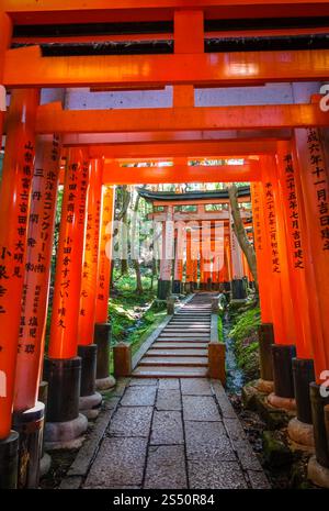 Fushimi Inari Taisha torii Schrein, Kyoto, Japan. Fushimi Inari Taisha torii, Kyoto, Japan Stockfoto