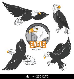 Sammlung von Cartoon-Adlern. Fliegende Vögel isolieren sich auf weiß. Adlertier fliegt, amerikanischer Raubvogel. Vektorabbildung. Sammlung von Cartoon-Adlern. Fliegende Vögel isolieren sich auf weiß Stock Vektor
