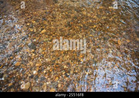 Die Textur des Bodens. Die Steine, die unter dem klaren Wasser sichtbar sind. Das Wasser plätschert im Fluss, die Sonnenstrahlen auf den Felsen Stockfoto