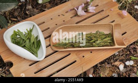 Chinesische Teekanne und Tassen mit longjing Tee, Hangzhou China. . Hochwertige Fotos Stockfoto
