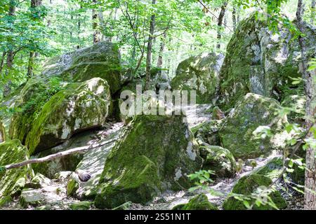 Tour zur anomalen Zone Shapsugskaja - Sandsteinfelsen im prähistorischen Shambala-Steinbruch in Abinsk Vorgebirge des Kaukasus in der Region Kuban Stockfoto