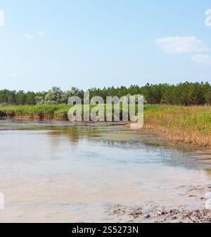 Sommer Pryschukove dunkel braun-rote Jod See mit einer therapeutischen Wirkung durch den hohen Gehalt an Jod (Kherson, Ukraine). Stockfoto