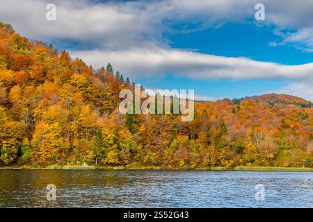 Herbstlaub im Nationalpark Plitvicer Seen, Kroatien, Europa. Stockfoto