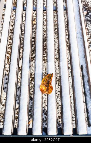Gefallenen Blatt auf Holzbank mit dem ersten Schnee im städtischen Garten im frostigen Herbst Tag abgedeckt Stockfoto