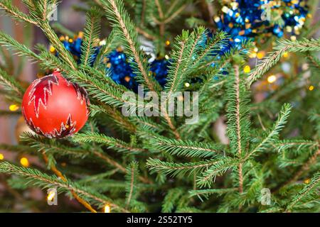 Ornamente auf grüne Zweige lebender Weihnachtsbaum indoor Stockfoto