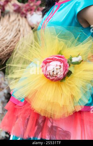 Frauen in bunten Kleidern auf der Festa da Flor oder Spring Flower Festival in der Stadt Funchal gekleidet auf der Insel Madeira im Atlantischen Ozean Stockfoto