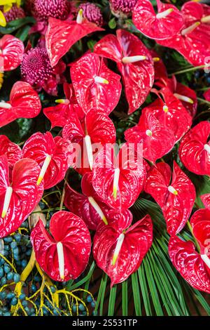 orientalische Lilienblüten beim Festa da Flor oder Frühlingsblumenfest in Funchal auf der Insel Madeira im Atlantischen Ozean Stockfoto
