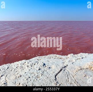 Rosa extrem salzig Syvash See, gefärbt durch Mikroalgen mit kristallinen Salz depositionen. Auch als die fauligen Meer oder faulen Meer bekannt. Ukraine, Stockfoto