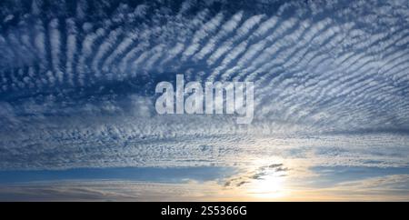 Sommer abend sonnenuntergang himmel Panorama mit Fleece und spindrift Wolken und Sonnenschein. Große Möwe Vögel im Himmel. Zwei Schüsse stitch Bild. Stockfoto