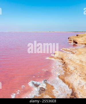 Rosa extrem salzig Syvash See, gefärbt durch Mikroalgen mit kristallinen Salz depositionen. Auch als die fauligen Meer oder faulen Meer bekannt. Ukraine, Stockfoto