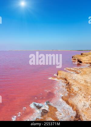 Sunshine Pink extrem salziger Syvash Lake, gefärbt von Mikroalgen mit kristallinen Salzablagerungen. Auch bekannt als das faulige Meer oder das faule Meer. Stockfoto